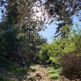 Review photo of Coon Creek Yellow Post Sites by Kayla H., August 6, 2019