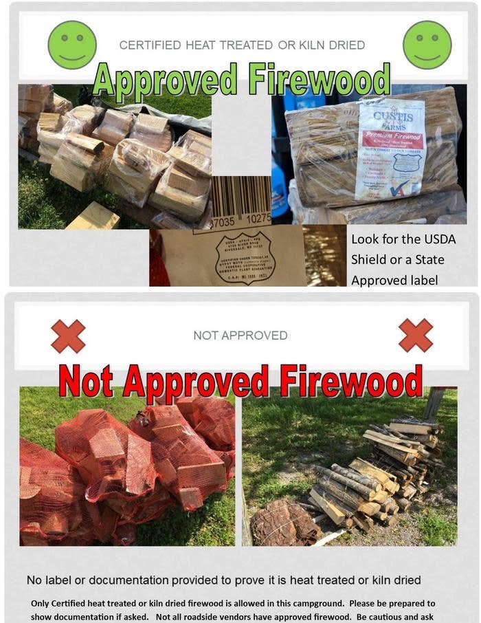 Dale Hollow Lake Primitive Camping The Dyrt