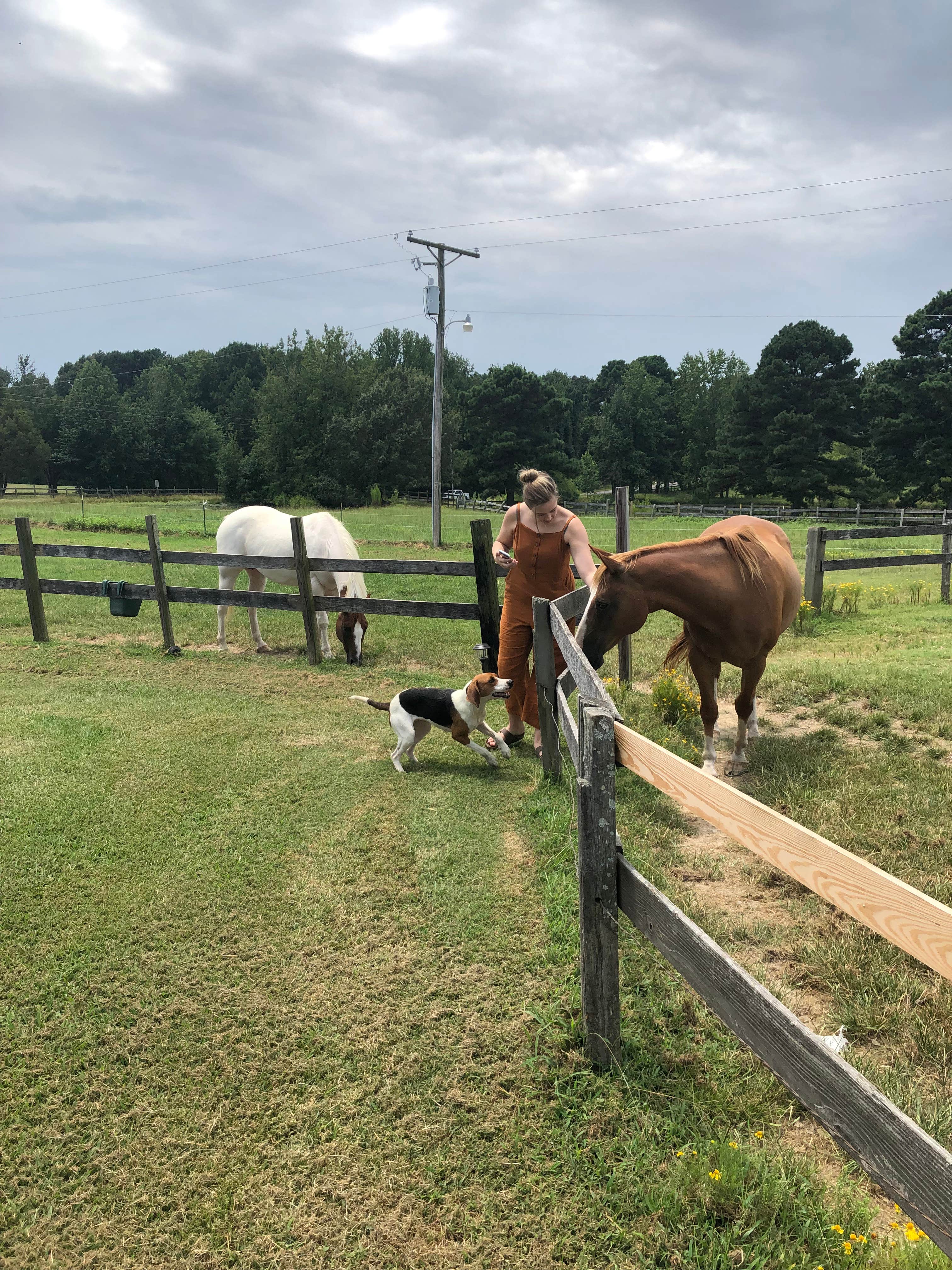Sandra S.'s photo of camping with pets at Bar Fifty Campground & RV Park - CLOSED INDEFINITELY near Malvern, AR