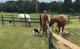 Sandra S.'s photo of camping with pets at Bar Fifty Campground & RV Park - CLOSED INDEFINITELY near Hot Springs National Park, AR