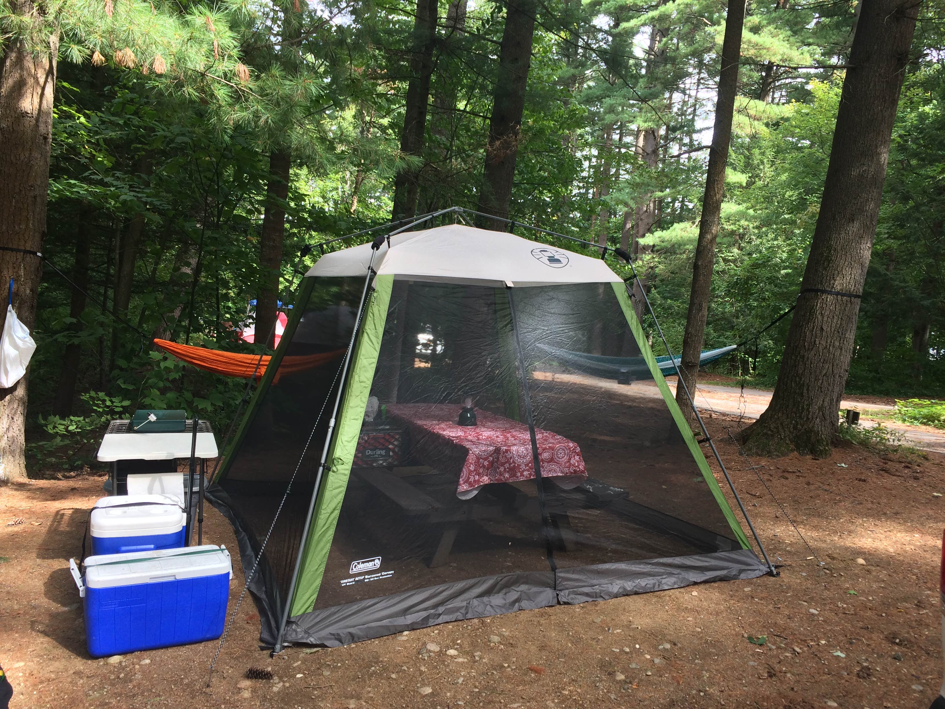 Camper submitted image from Lake George Battleground Campground - 4