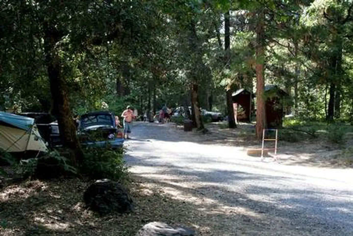 Camper submitted image from Beaver Sulphur - 1