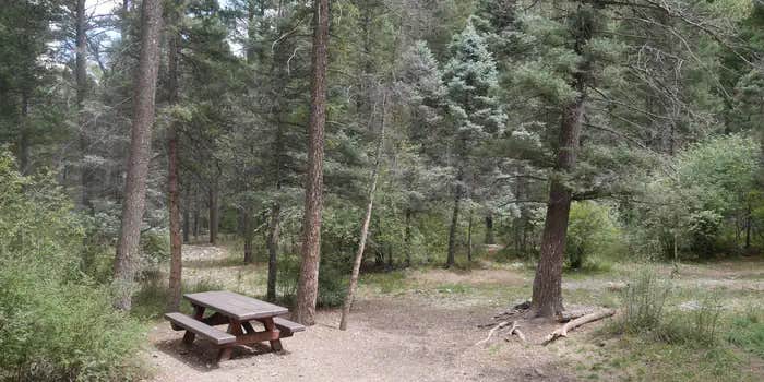 Camper submitted image from Columbine Campground (NM)