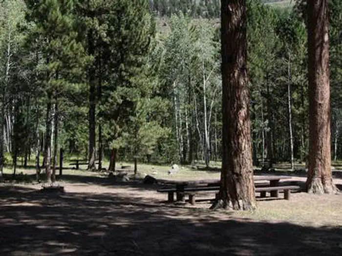 Camper submitted image from Ashley National Forest Uinta River Group Campground - 1