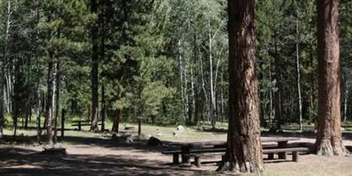 Camper submitted image from Ashley National Forest Uinta River Group Campground