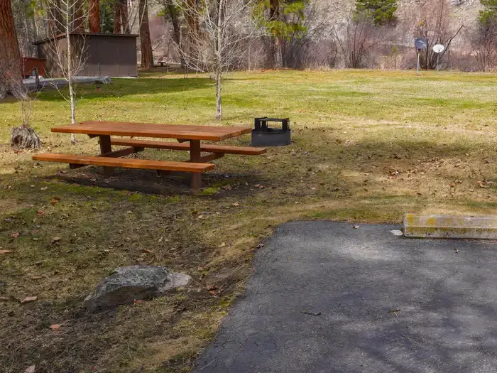 Camper-submitted photo at Spring Gulch near Conner, MT