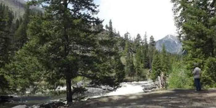 Camper submitted image from Icicle Group Campground