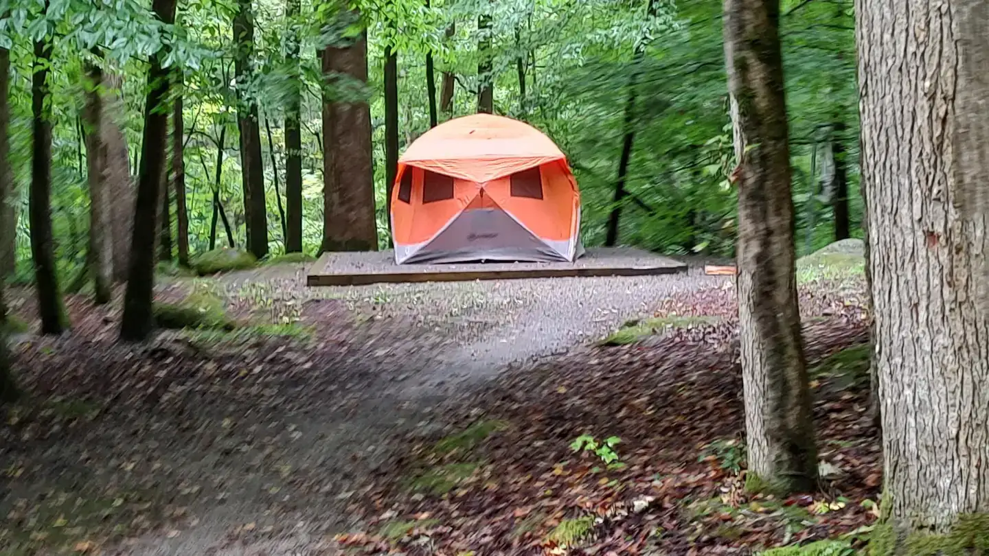 Camper-submitted photo at Big Creek Campground — Great Smoky Mountains National Park near Hartford, TN