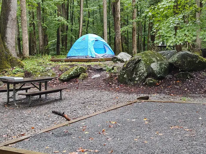 Camper-submitted photo at Big Creek Campground — Great Smoky Mountains National Park near Hartford, TN