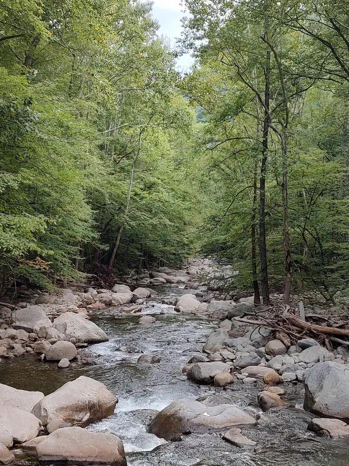 Camper-submitted photo at Big Creek Campground — Great Smoky Mountains National Park near Hartford, TN