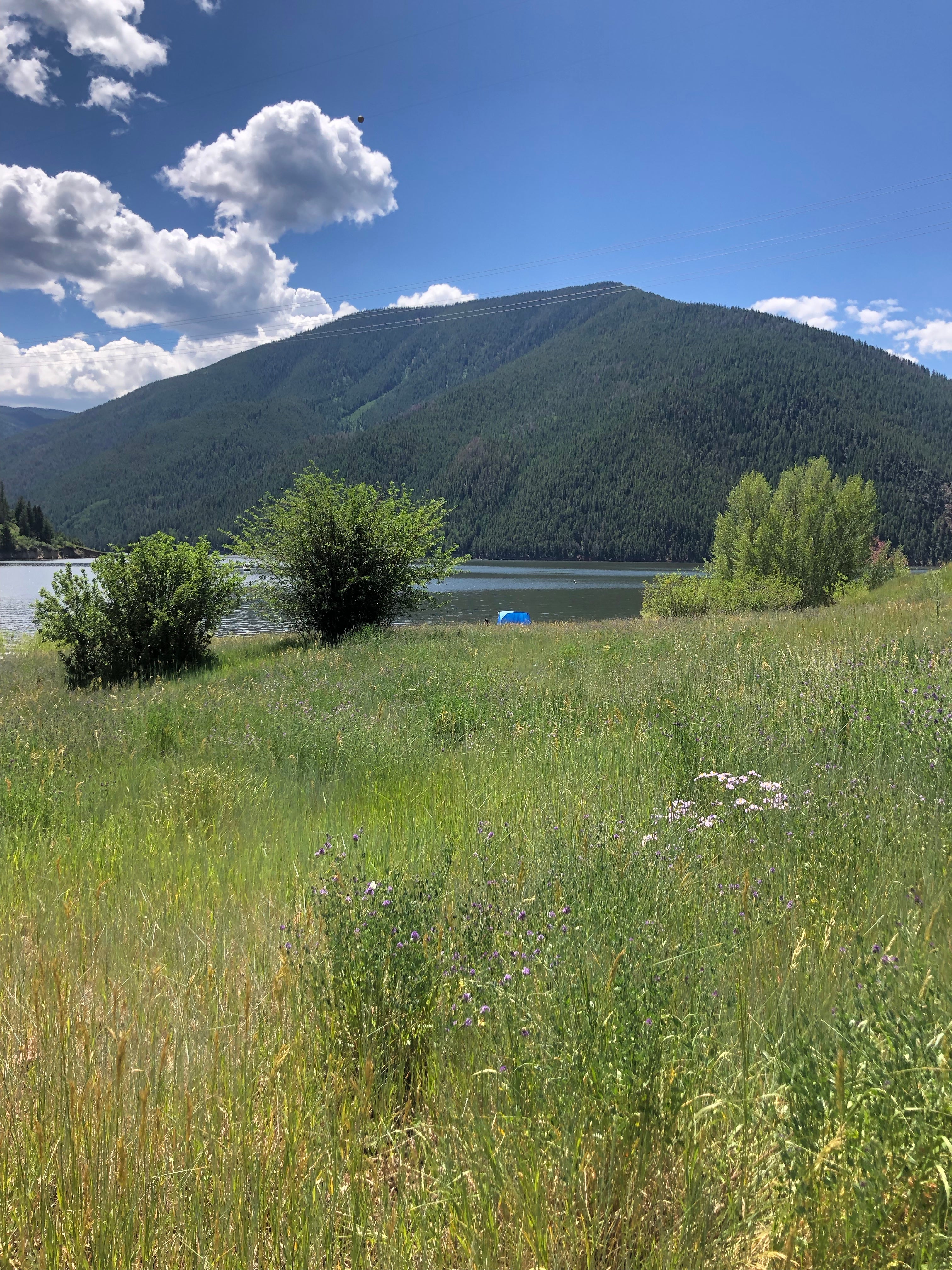 Down at Ruedi Reservoir, next to the big, sunny (no shade) marina parking/camp lot. Dogs are not allowed at the swim beach but elsewhere is fine.
