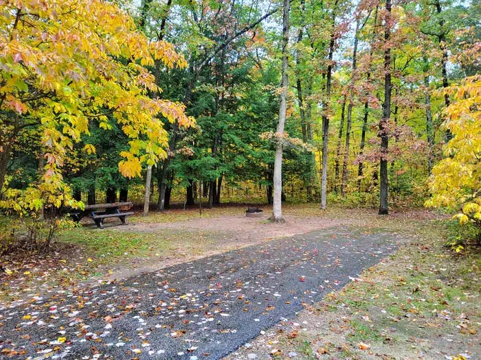 Camper submitted image from Sand Lake Campground — Manistee National Forest - 1