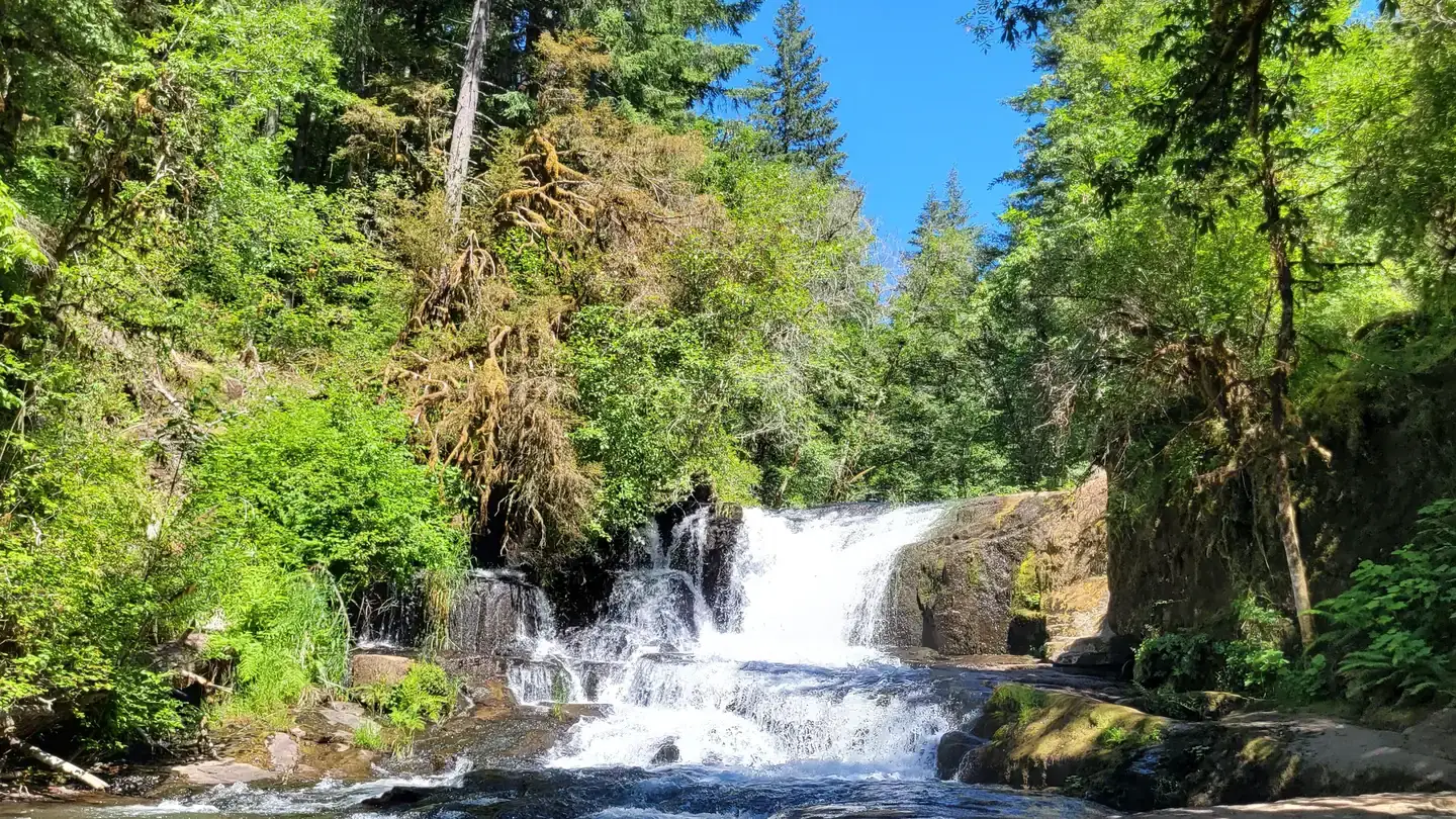 Camper-submitted photo at Alsea Falls Recreation Site (campground) near Blodgett, OR