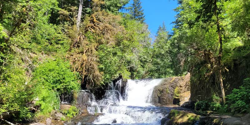 Camper submitted image from Alsea Falls Recreation Site (campground)