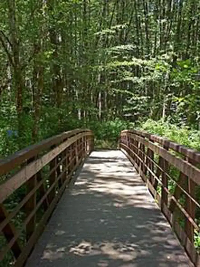 Camper-submitted photo at Alsea Falls Recreation Site (campground) near Blodgett, OR