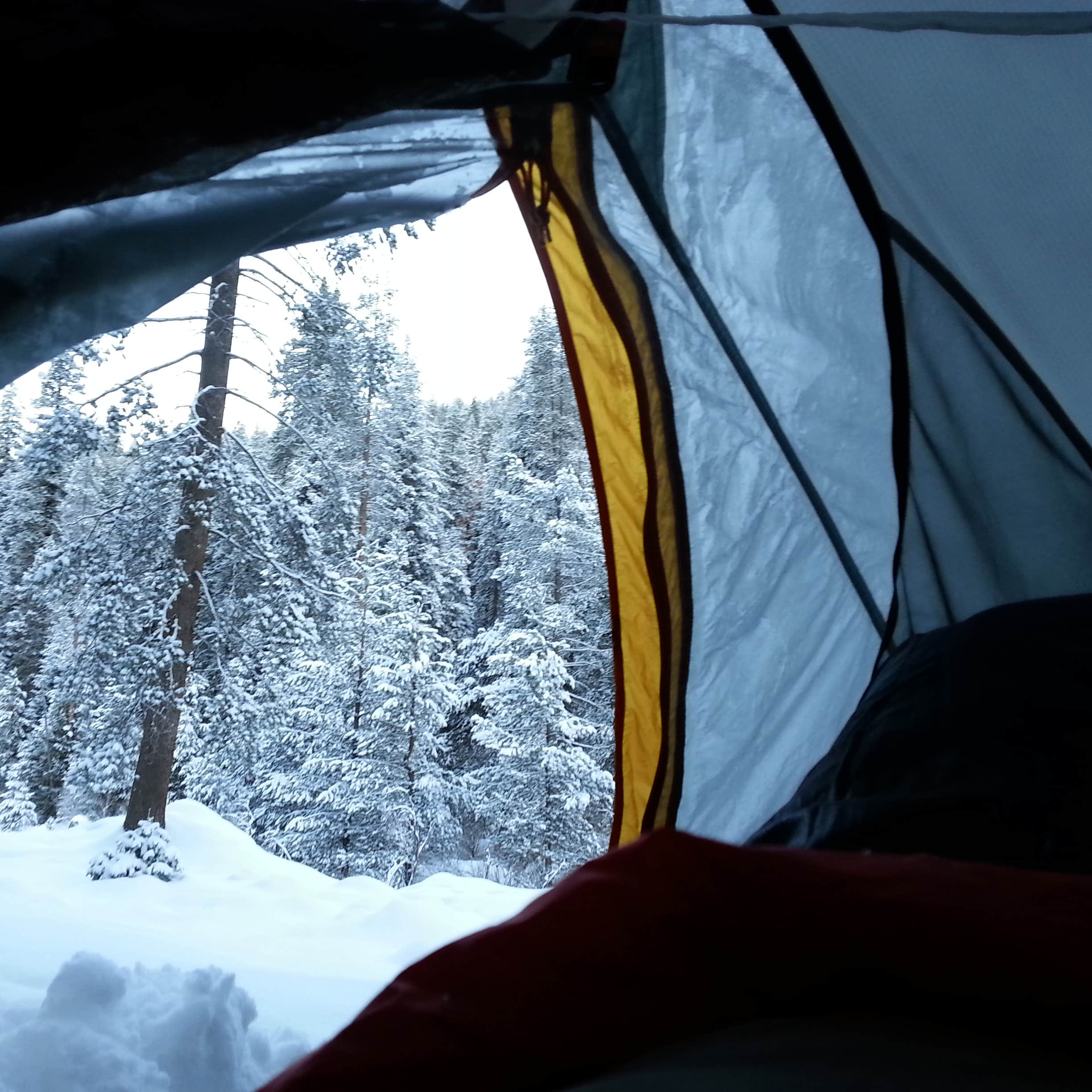 Lodgepole Campground Camping The Dyrt