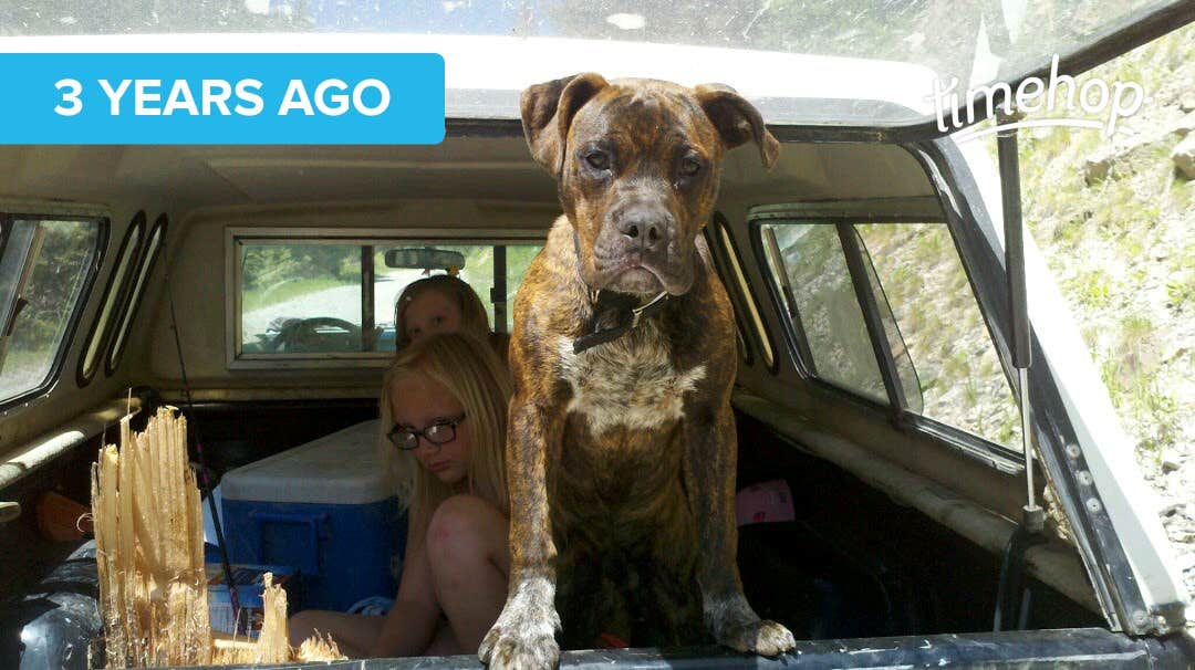 Camper-submitted photo at Logging Creek near Lewis and Clark National Forest