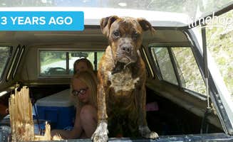 Nic F.'s photo of camping with pets at Logging Creek near Malmstrom AFB, MT