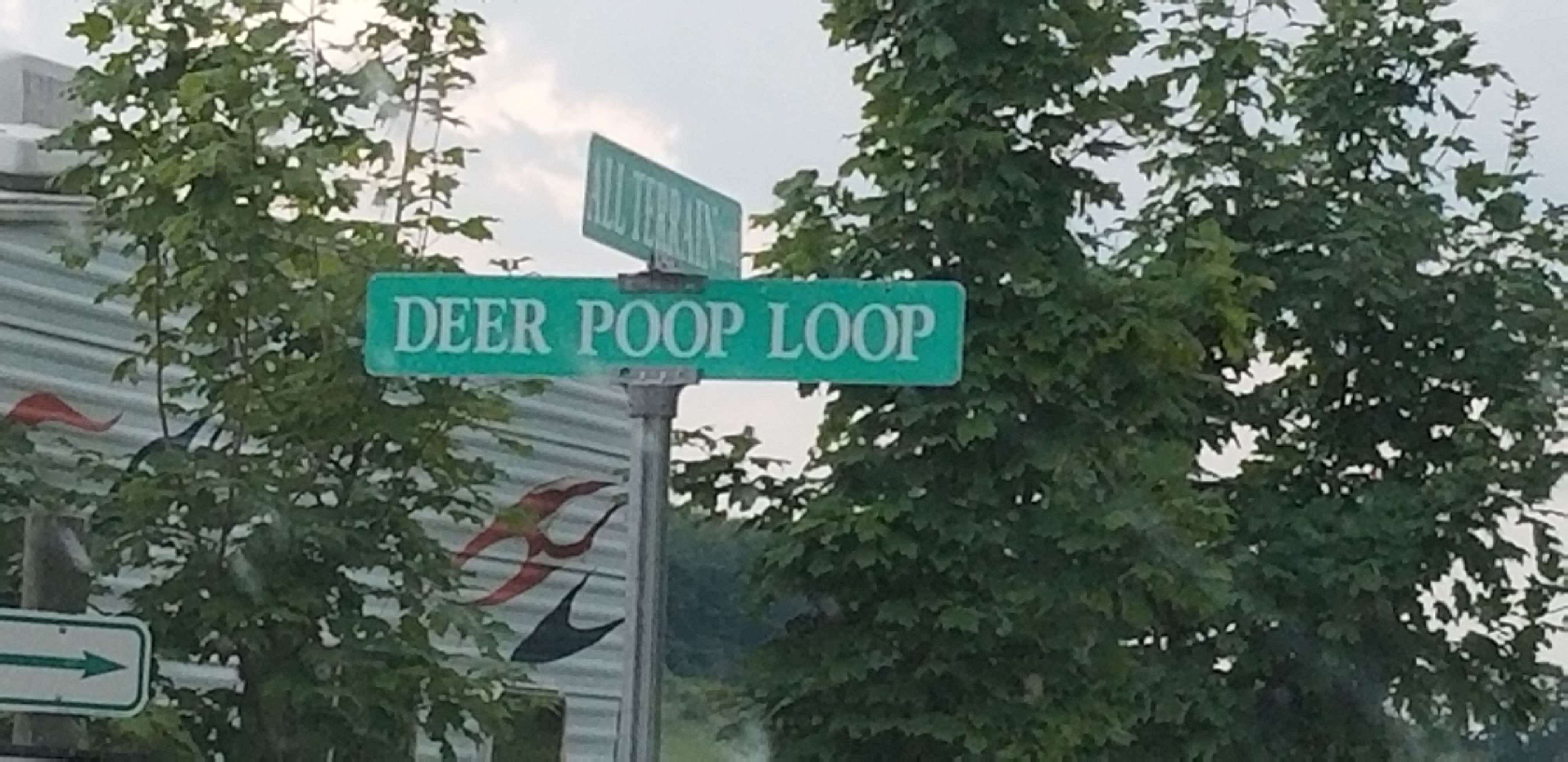 Camper-submitted photo at Chandler Hill Campground near Gaylord, MI