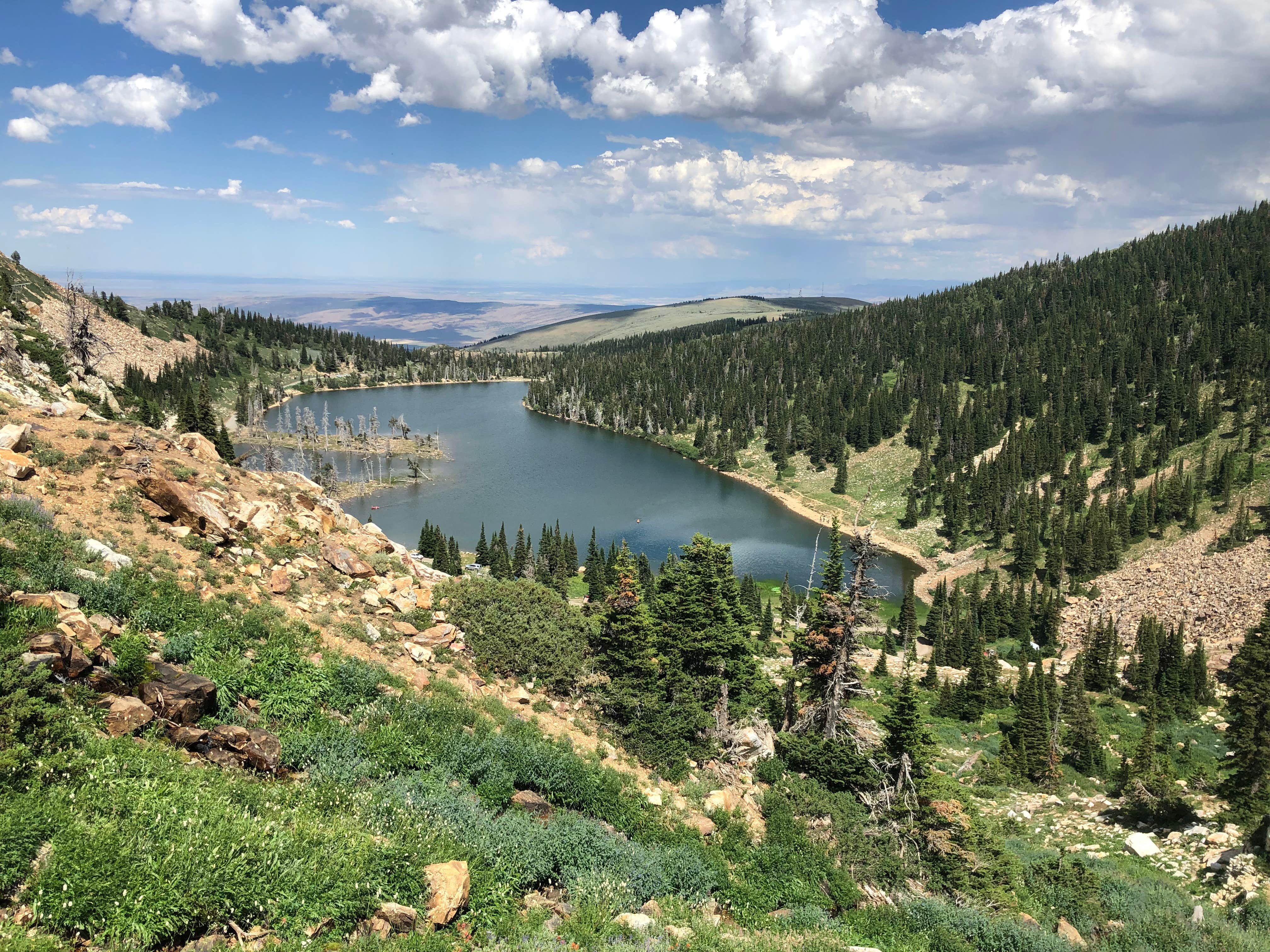 Camper submitted image from Lake Cleveland Campground West Side — Sawtooth National Forest - 5