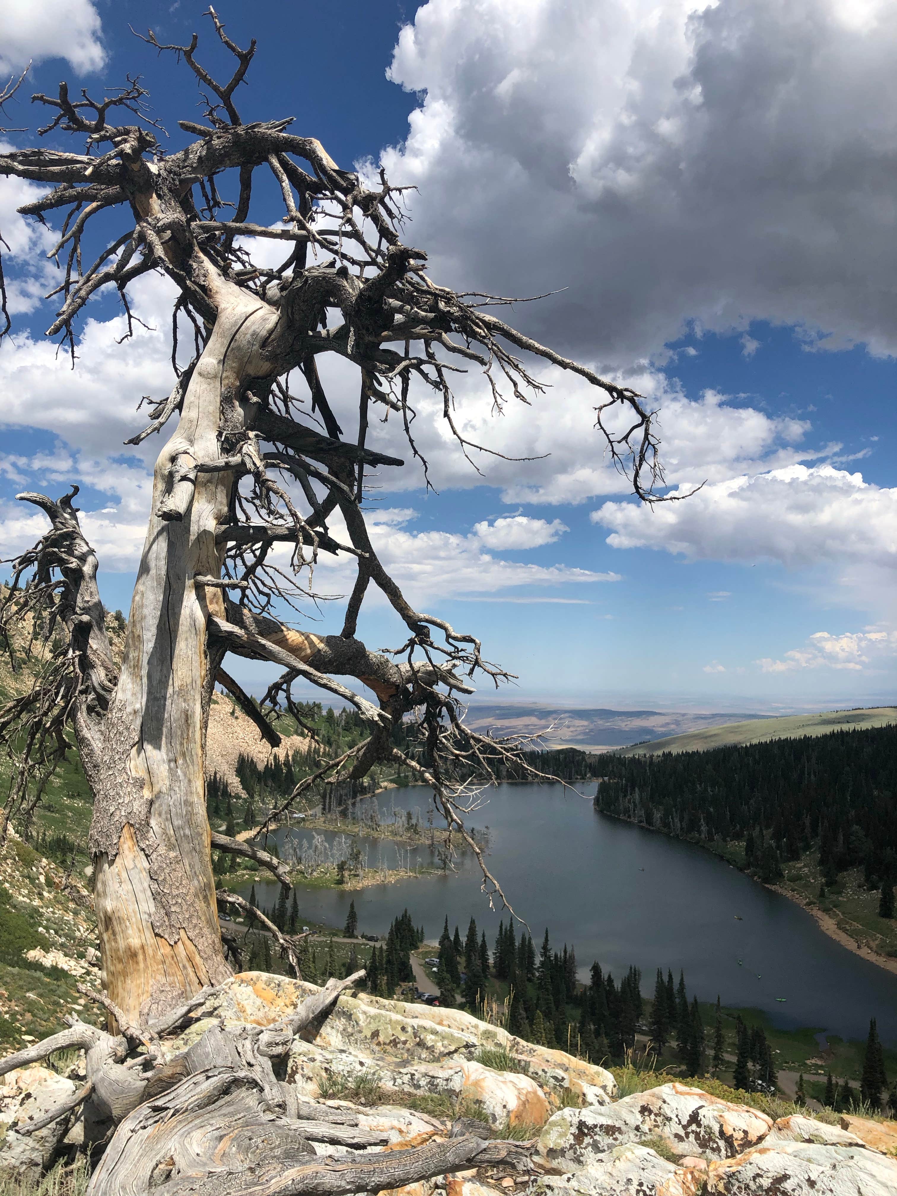 Camper-submitted photo at Lake Cleveland Campground West Side — Sawtooth National Forest near Albion, ID