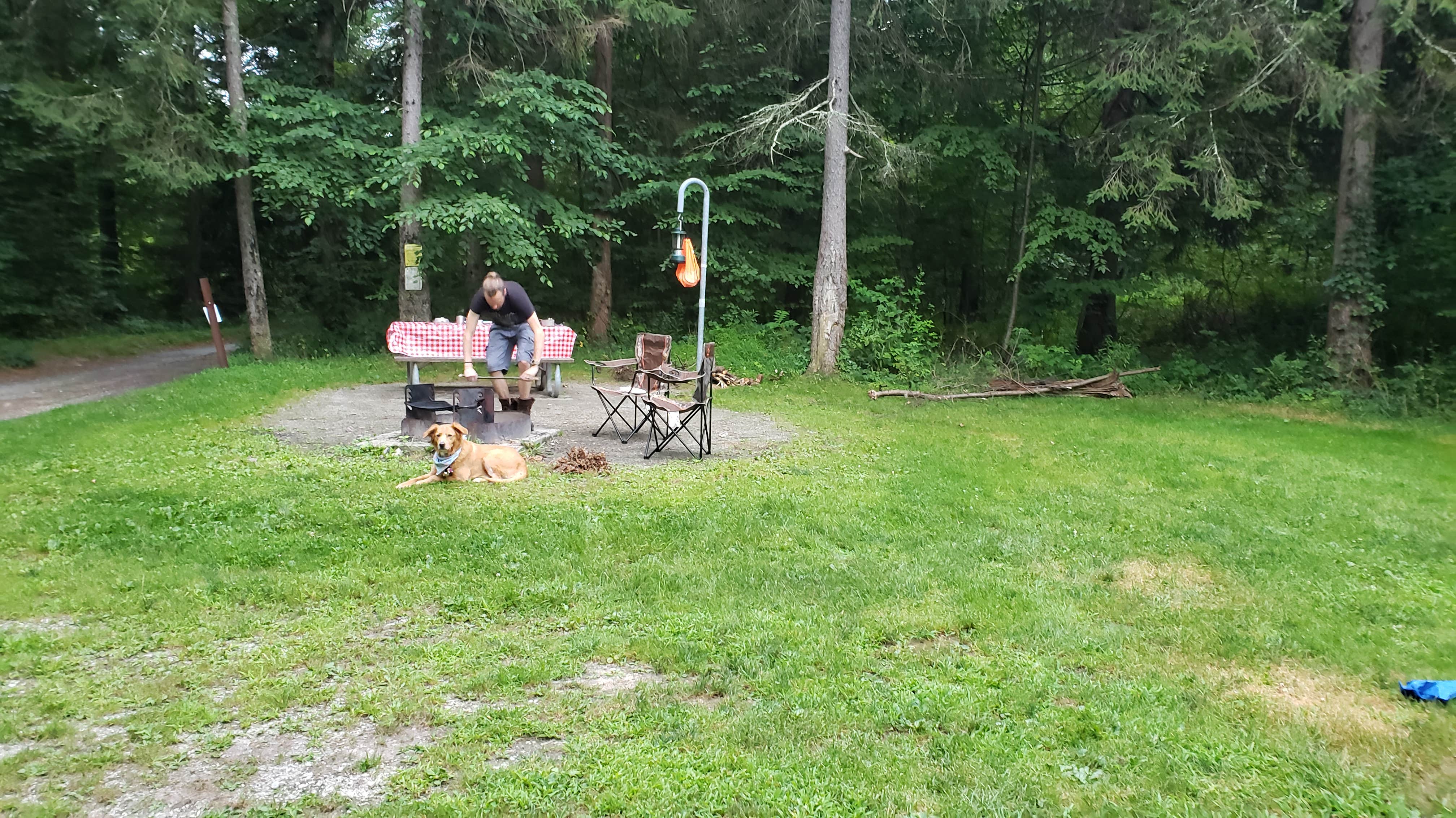Christina H.'s photo of camping with pets at Stokes State Forest in New Jersey