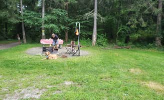 Christina H.'s photo of camping with pets at Stokes State Forest near Sterling Forest, NY