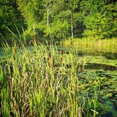 Review photo of Stokes State Forest by Christina H., August 6, 2019