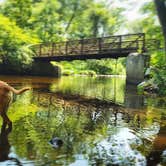 Review photo of Stokes State Forest by Christina H., August 6, 2019