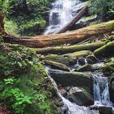 Review photo of Stokes State Forest by Christina H., August 6, 2019