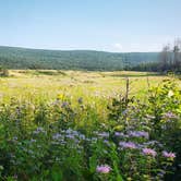 Review photo of Stokes State Forest by Christina H., August 6, 2019