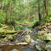 Review photo of Stokes State Forest by Christina H., August 6, 2019