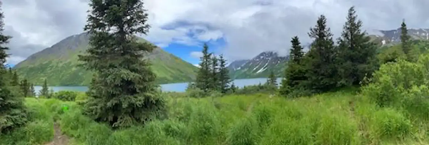 Camper-submitted photo at Crescent Saddle Cabin near Moose Pass, AK