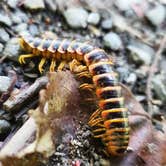 Review photo of Stokes State Forest by Christina H., August 6, 2019