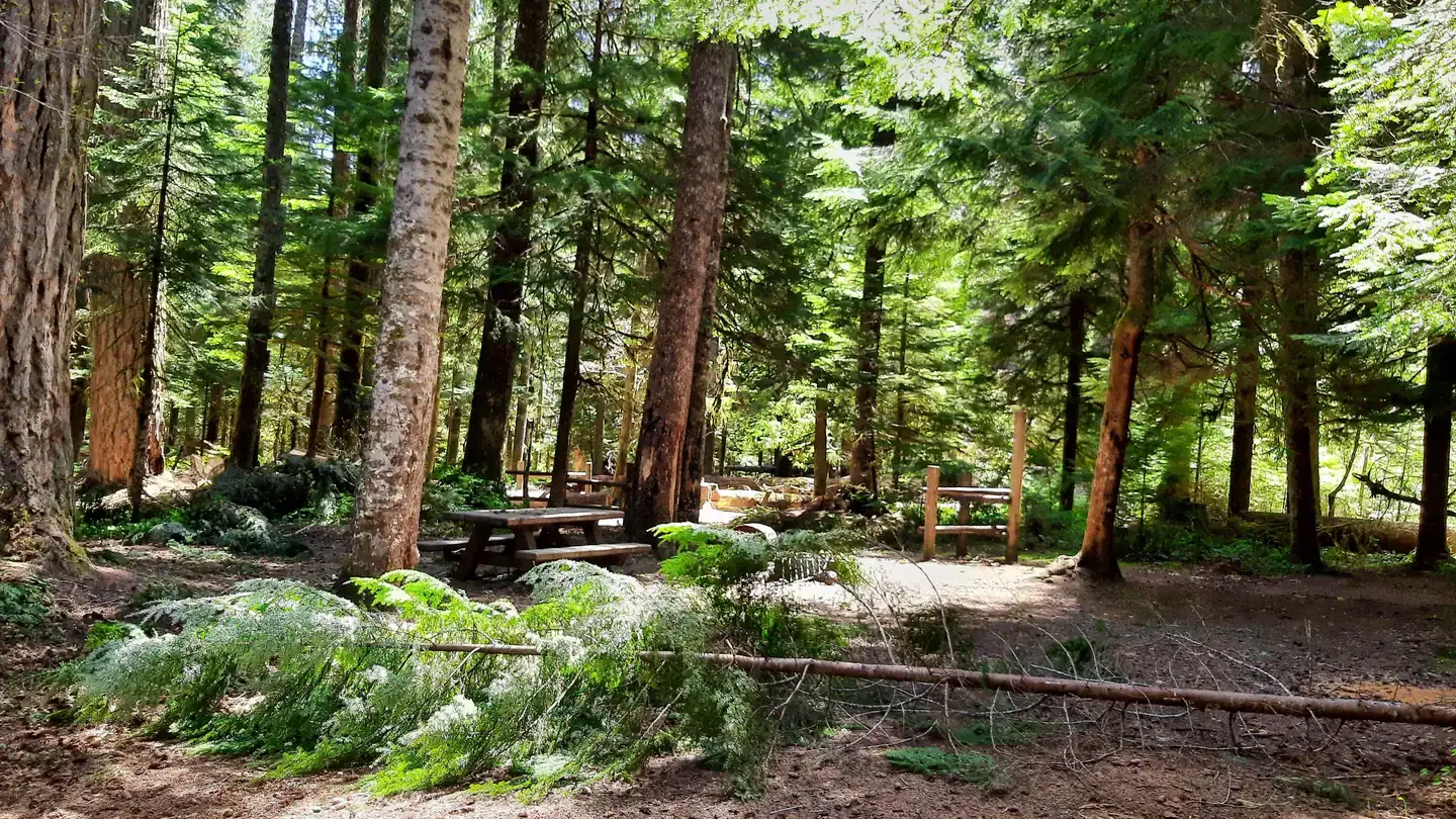 Camping near Huckleberry Access: Lewis River Horse Camp — Gifford Pinchot National Forest, Trout Lake, Washington