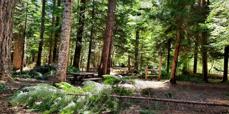 Camper submitted image from Lewis River Horse Camp — Gifford Pinchot National Forest