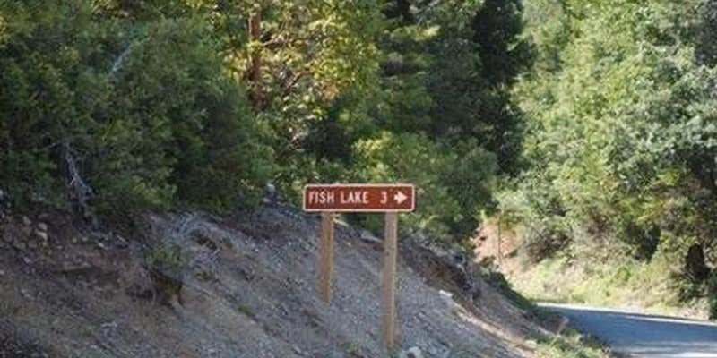 Camper submitted image from Fish Lake Campground