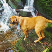 Review photo of Stokes State Forest by Christina H., August 6, 2019