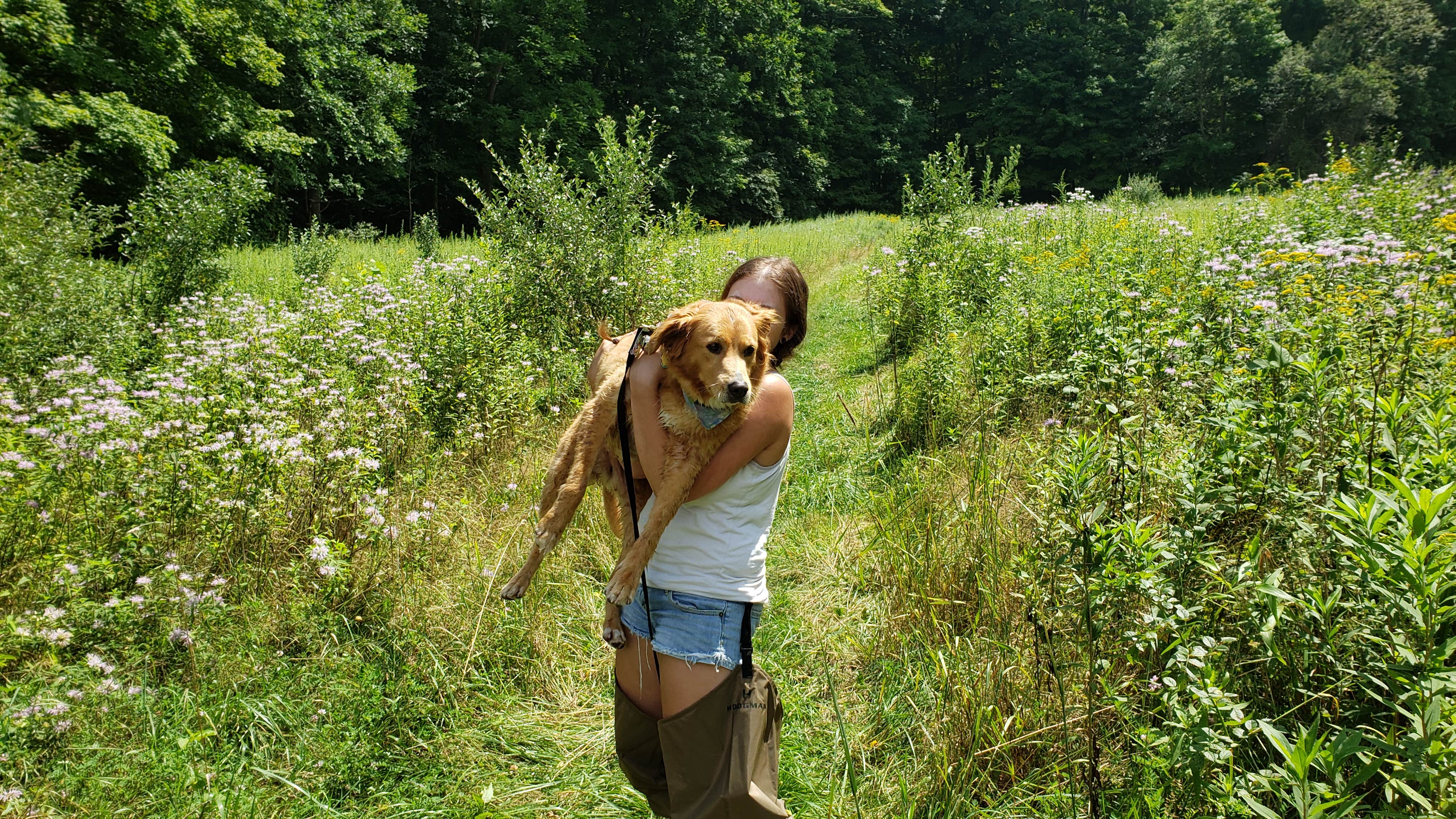 Christina H.'s photo of camping with pets at Stokes State Forest near Nutley, NJ
