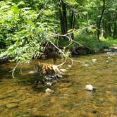 Review photo of Stokes State Forest by Christina H., August 6, 2019