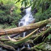 Review photo of Stokes State Forest by Christina H., August 6, 2019