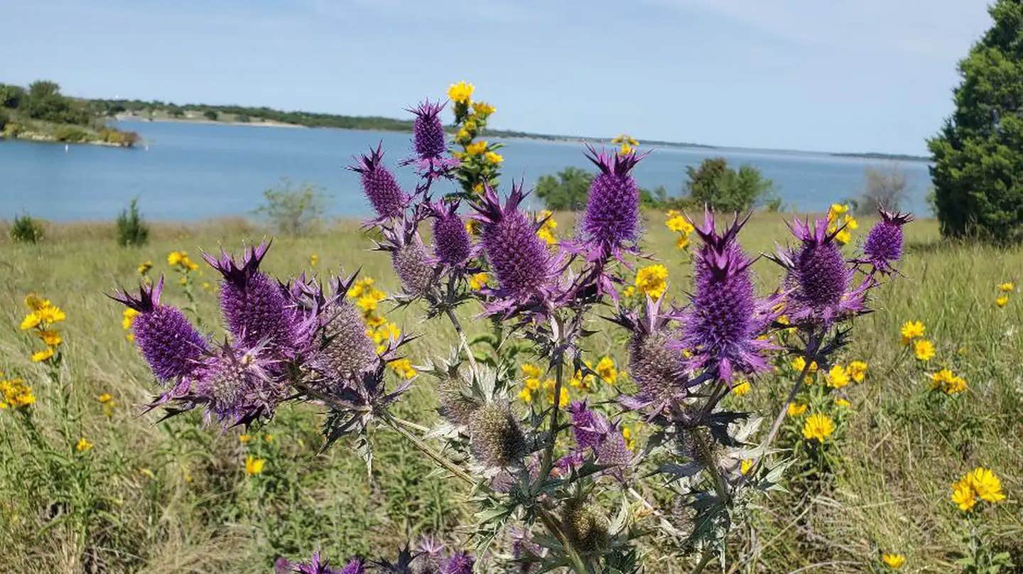 Camper submitted image from East Fork Park Campground - 1