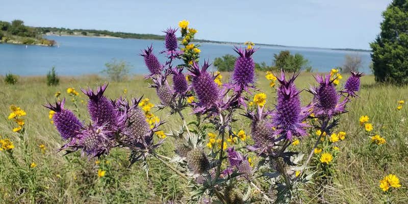 Camper submitted image from East Fork Park Campground