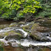 Review photo of Stokes State Forest by Christina H., August 6, 2019