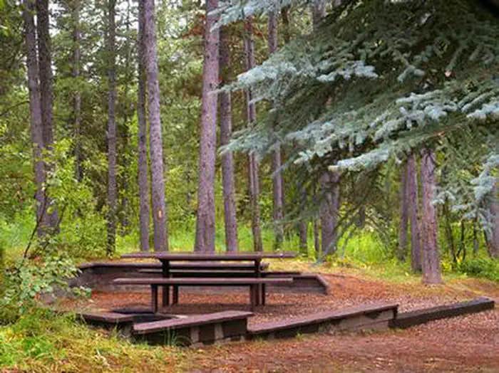 Camper submitted image from Alpine North Loop Campground - 1