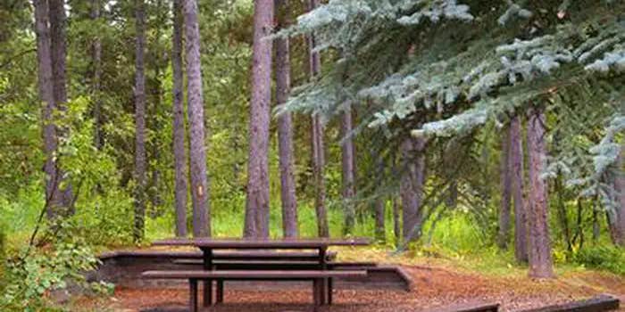 Camper submitted image from Alpine North Loop Campground