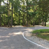 Review photo of Service Campground by Carolyn  V., August 6, 2019