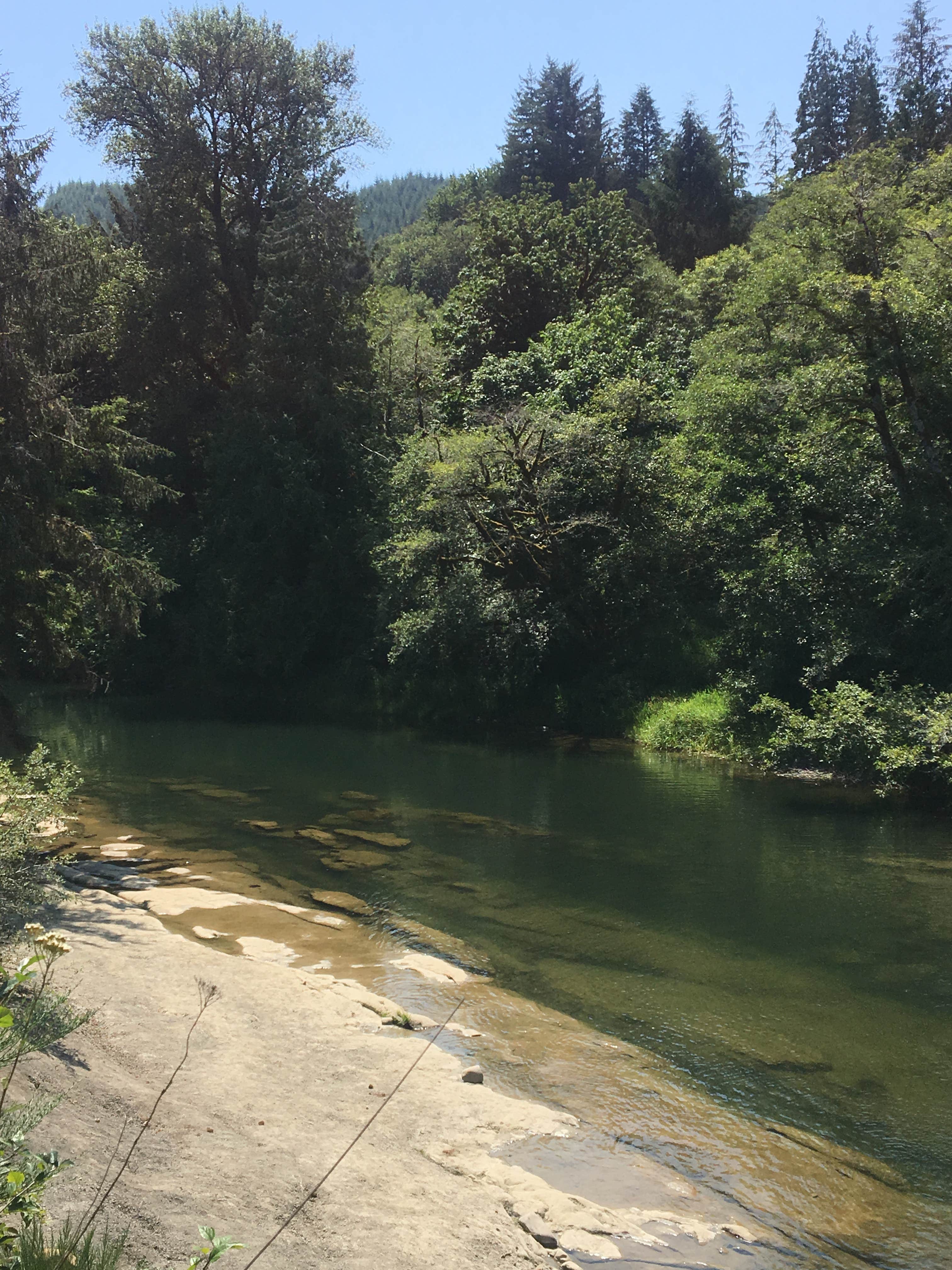 Camper-submitted photo at Moonshine Park near Logsden, OR