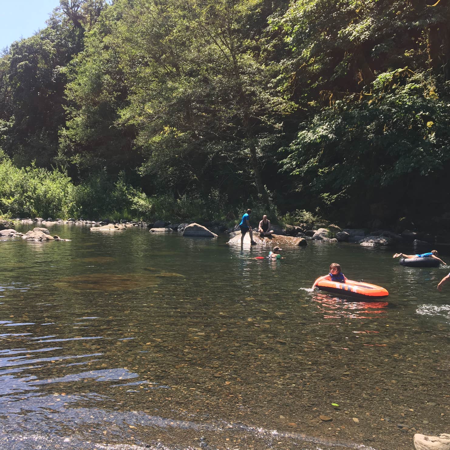 Moonshine Park Camping The Dyrt