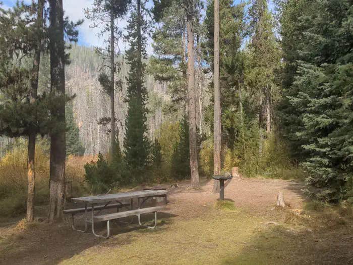 Camper submitted image from Chinook Campground - 1